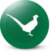 Fazani